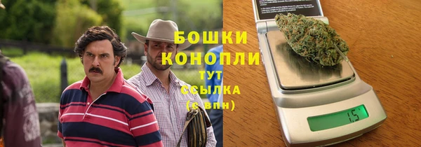 apvp Лиски