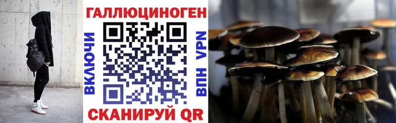 закладка  дарк нет какой сайт  Псилоцибиновые грибы Cubensis  Красково 
